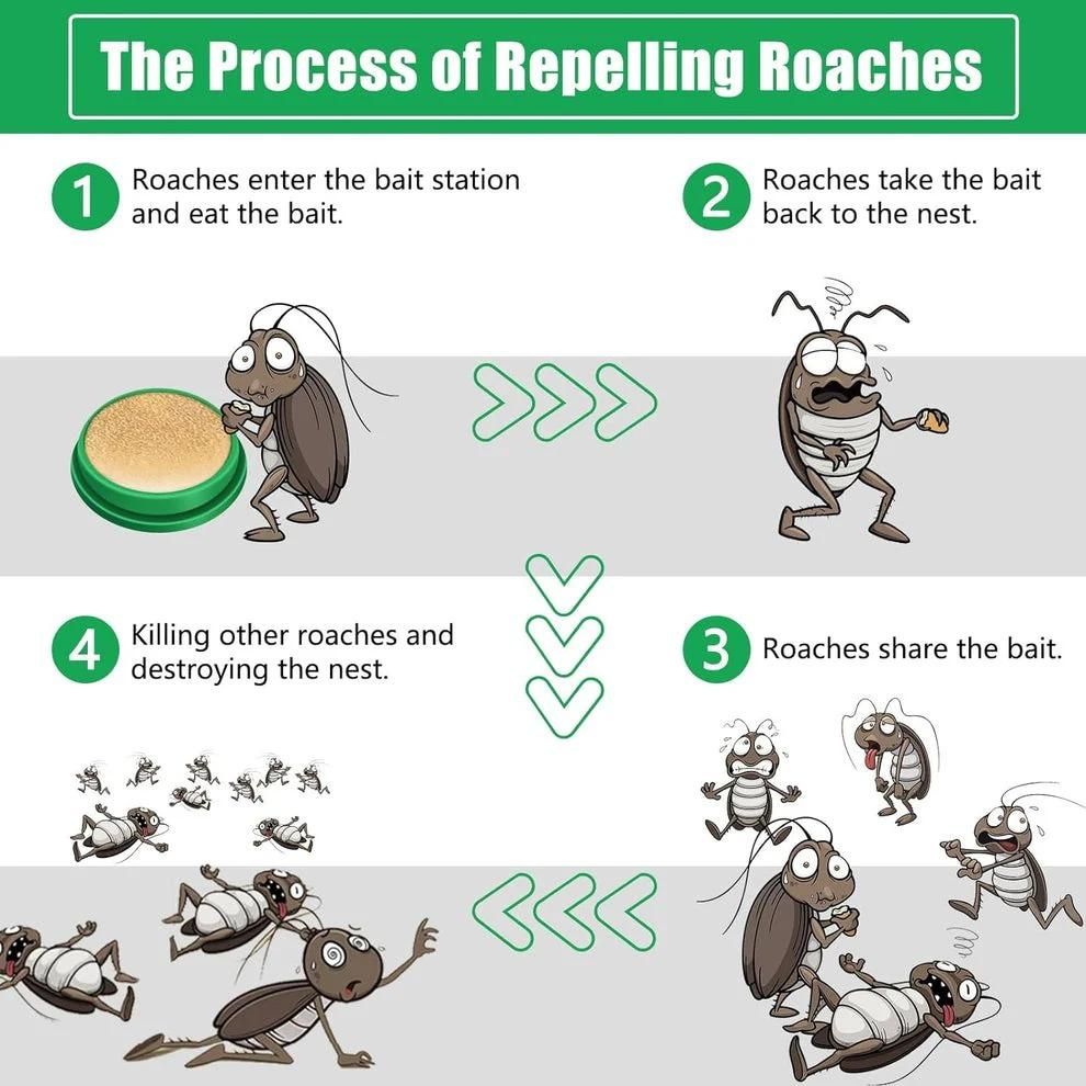 Cockroach Killer Gel – Buy 1 Get 1 Free @699 | Buy 2 Get 2 Free @899 | Limited Offer Only