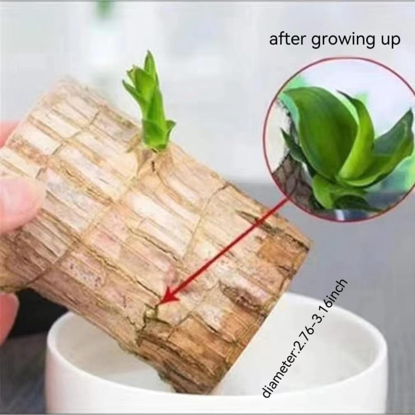 5234